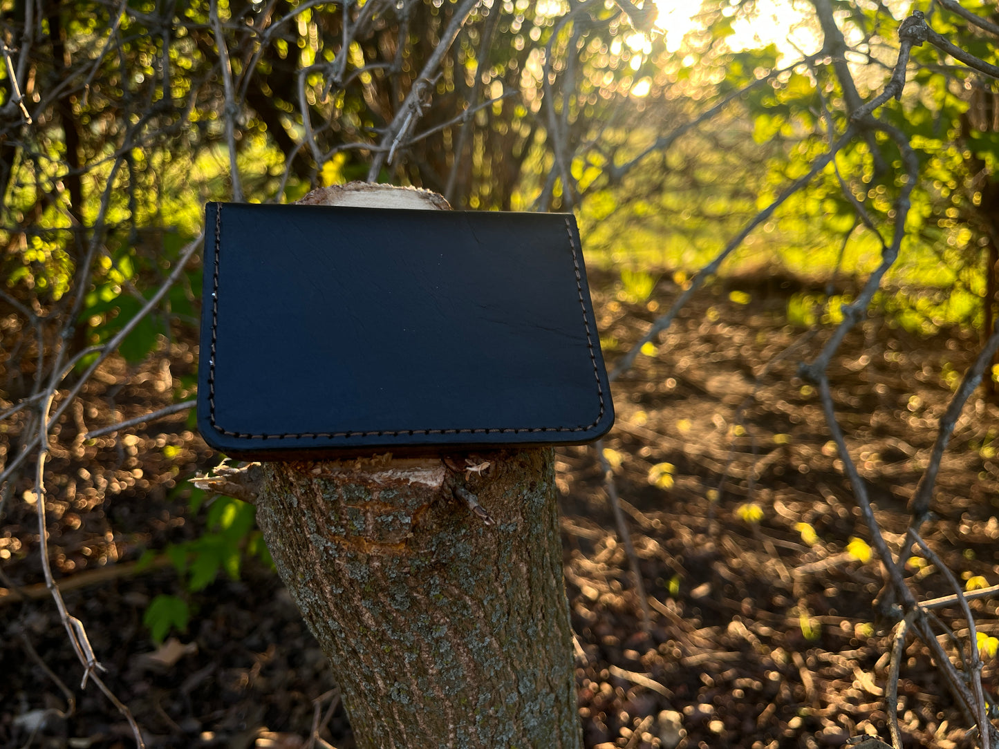 Black Card Wallet