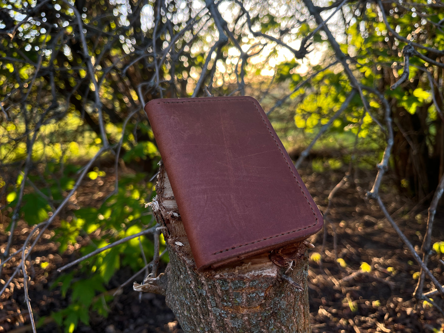 Brown Card Wallet