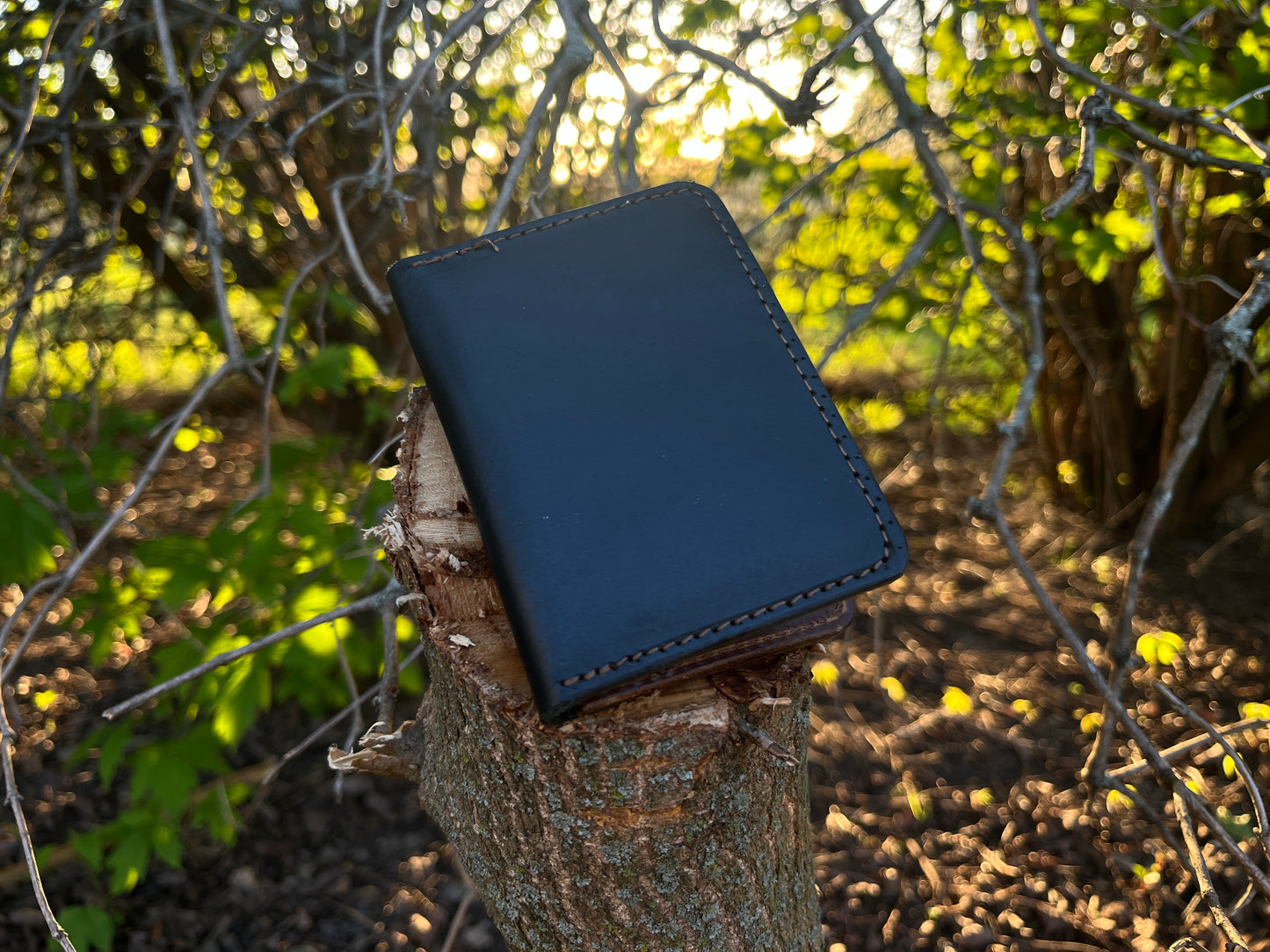 Black Card Wallet