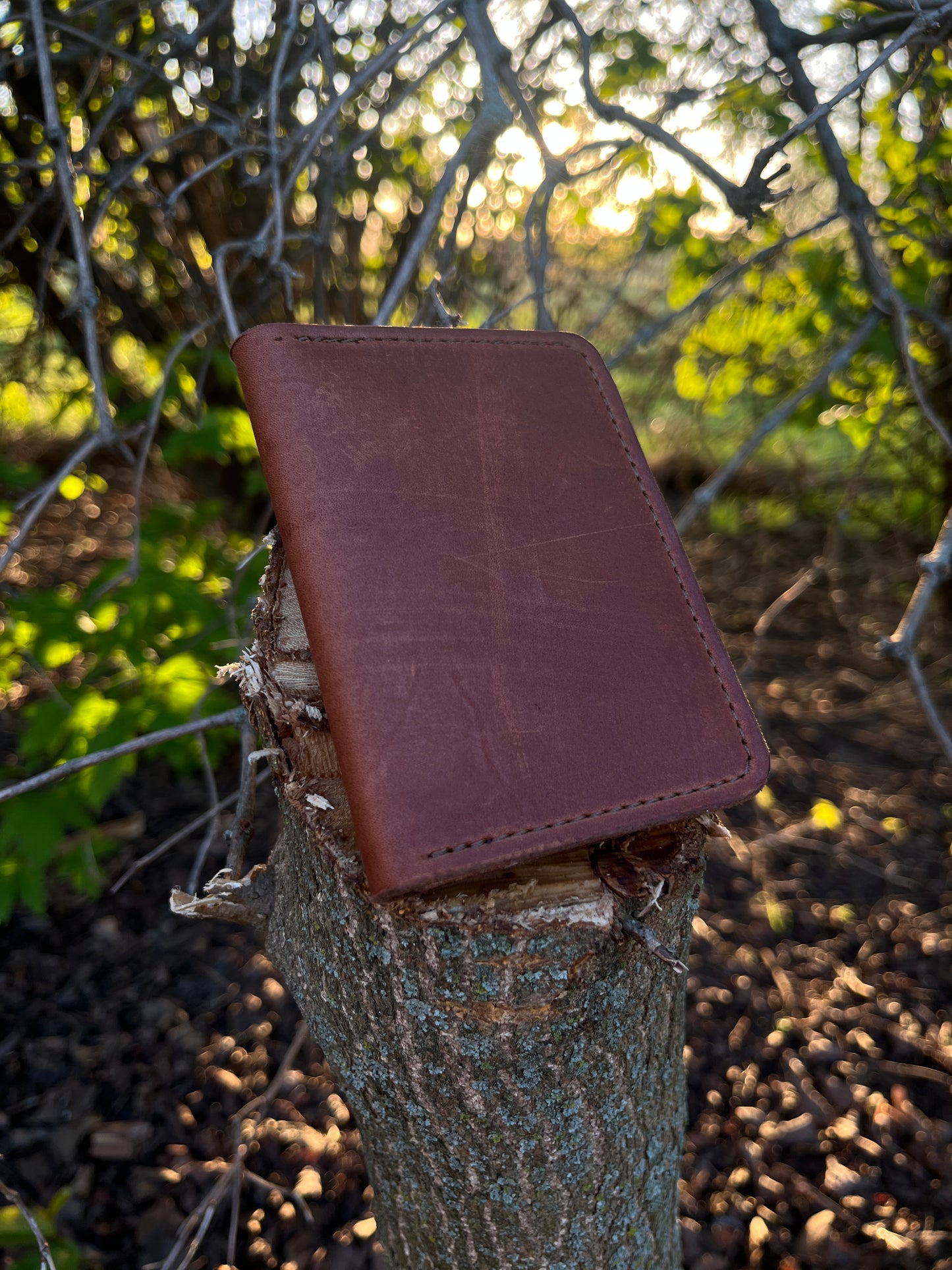 Brown Card Wallet