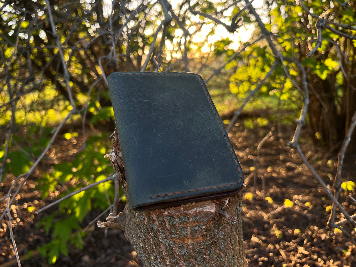 Forest Green Card Wallet